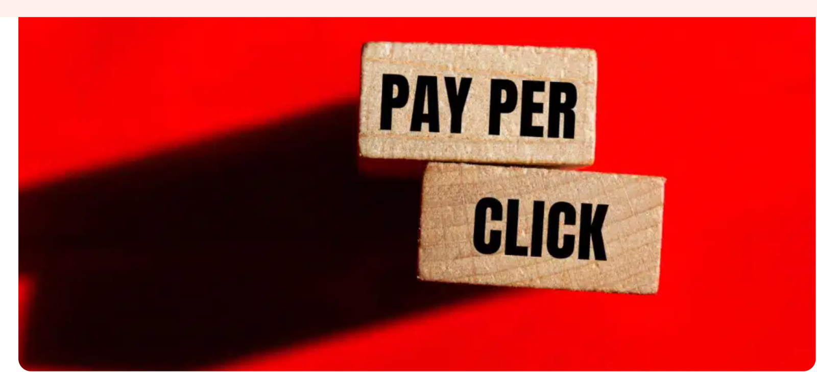 PPC Management Services in Jaipur